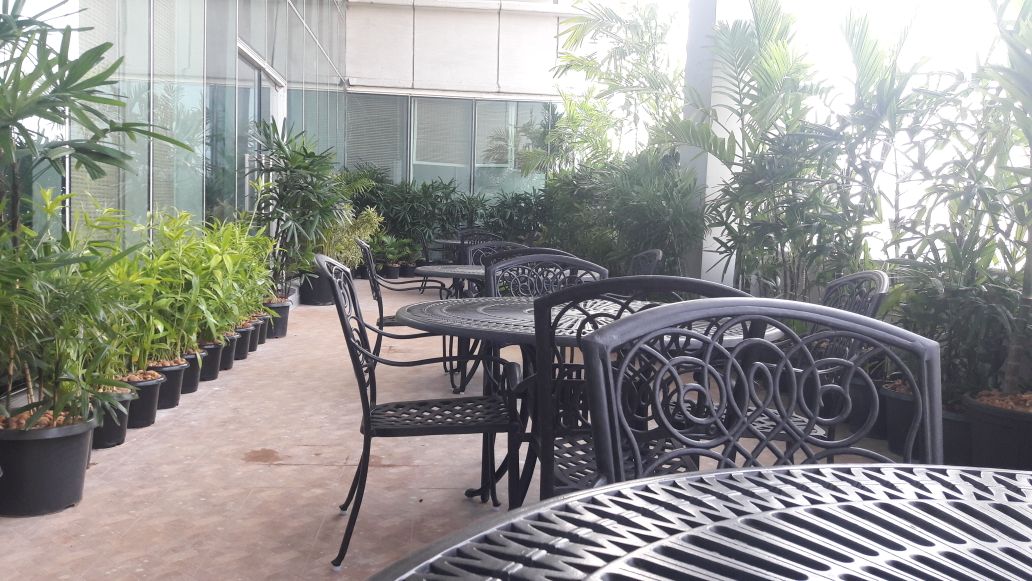 Terrace Garden Contractor in Chennai